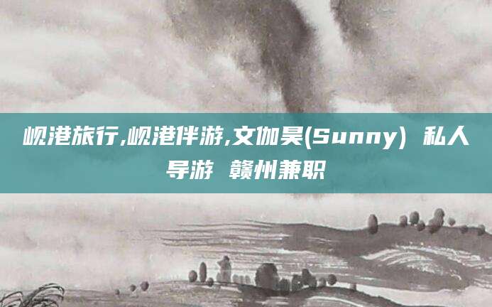 樟树岘港旅行,岘港伴游,文伽昊(Sunny) 私人导游 赣州兼职